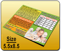 5.5 x 8.5 - Brochure | Cheapest EDDM Printing